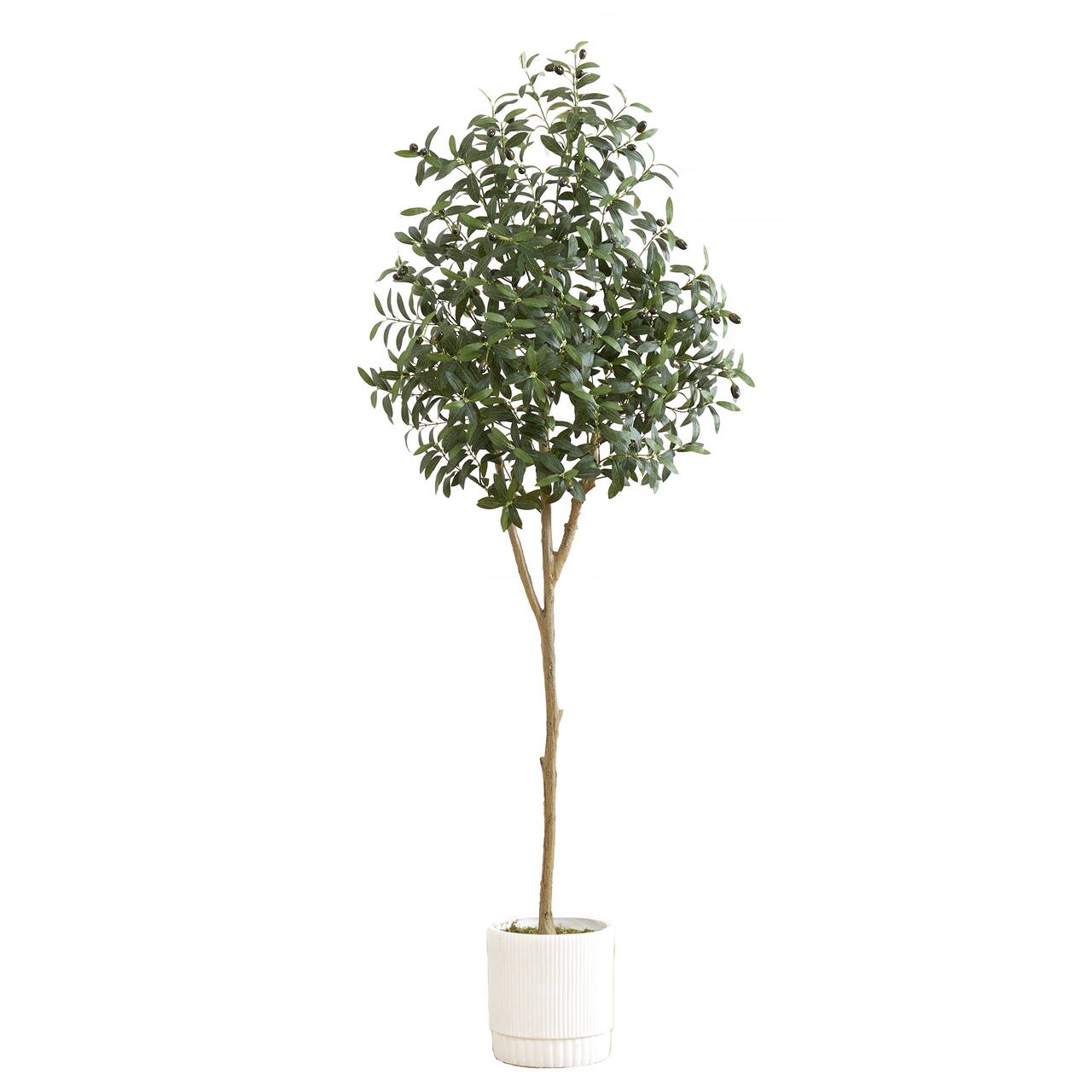 6ft. Artificial Olive Tree with White Decorative Planter